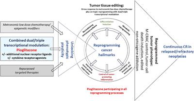 Frontiers in Oncology | Cancer Molecular Targets and Therapeutics